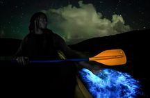 Bio Bay Tour Vieques – Full Clear Canoes Experience