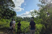 Singapore Private Brompton Bike City Tour