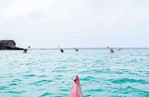 Sea Kayak Tour Marine Safari