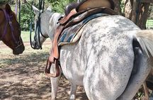 Horse Ride and Hike Tour to Pigeon Island with Lunch with Dore's