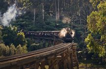 Puffing Billy Train&Healesville Sanctuary&Yarra Valley Wine Tour