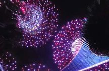 Singapore River Cruise and Light Shows