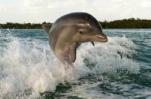 Private Beach or Sunset Boat Tour In Naples Florida
