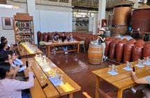 Pisco Tasting and Buggies with Sandboarding