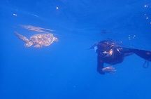 Discover Ishigaki's Hidden Treasures Snorkeling Tour at BlueCave 
