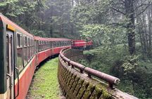 Alishan Day Tour from Chiayi (Incl. Park Entrance)