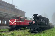 Alishan Day Tour from Chiayi (Incl. Park Entrance)