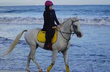 Bali Horse Riding on The Beach Experience