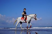 Bali Horse Riding on The Beach Experience