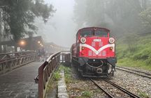 Alishan Day Tour from Chiayi (Incl. Park Entrance)
