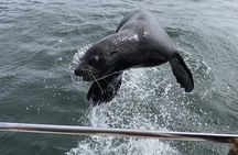 Excursion Combo Sandwich Harbour and Seals Cruise