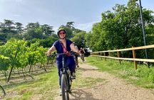 E Bike Tour with Olive Oil Tasting from San Felice del Benaco