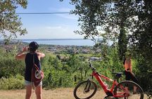 E Bike Tour with Olive Oil Tasting from San Felice del Benaco