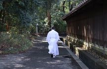 Tokyo Morning Highlights: Shibuya, Asakusa, Meiji Shrine & More!