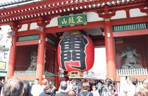 Tokyo Morning Highlights: Shibuya, Asakusa, Meiji Shrine & More!