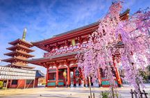 Tokyo Private Tour by Car/Van with English Speaking Driver 