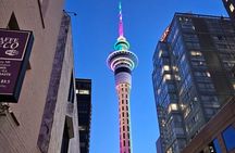 Auckland City Highlights Private Tour