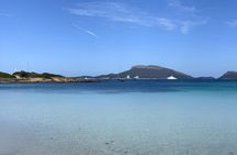 Private Dolphin Sighting Tour with Aperitif