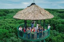 Vàm Sát Eco Tourism Forest Full Day Trip