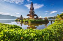 North Bali Nature Escape Rice Terraces, Temples & Waterfall