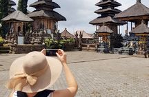 North Bali Nature Escape Rice Terraces, Temples & Waterfall