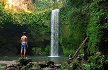 Bali: Best of Ubud Instagram highlights All-inclusive Package 