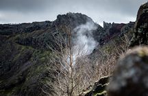 Pompeii and Vesuvius Small Group Tour from Vico Equense