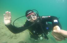 Scuba Diving in Rovinj