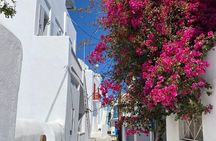 Private Mykonos Town Walking Tour And Islands Highlights