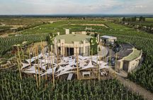 Winery Tour of Uco Valley