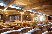 Winery Tour of Uco Valley