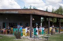 Winery Tour of Uco Valley