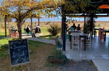 Winery Tour of Uco Valley