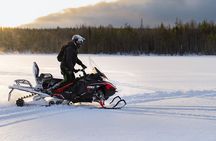 Snowmobile & Animals Day Tour