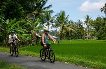 Ubud: Downhill Cycling with Volcano, Rice Terraces and Meal