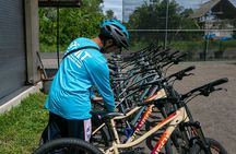 Ubud: Downhill Cycling with Volcano, Rice Terraces and Meal