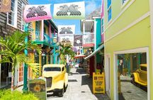 Private Tour in St. Maarten