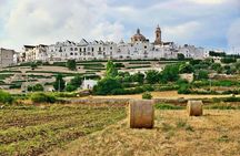 Private Tour in 3 towns: Alberobello, Locorotondo, Ostuni.