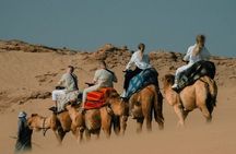 Sandboarding Adventure in Tamri Desert From Taghazout or Agadir