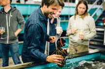 Experience Belfast with Sunset and Cruise