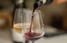Introduction to Wine Tasting in Nice city centre