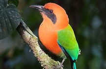 Green Eco Park Nature Trail Experience Costa Rica