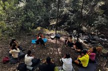 Immerse in the Nature: Deep Connection through Forest Bathing
