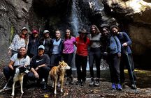Immerse in the Nature: Deep Connection through Forest Bathing