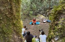 Immerse in the Nature: Deep Connection through Forest Bathing