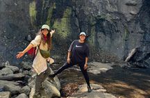 Immerse in the Nature: Deep Connection through Forest Bathing