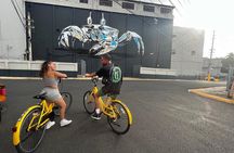 San Juan Urban Art Bike Tour 2 Hour and 4 Hour Options