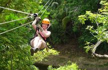 Gumbalimba Zip Line, and Preservation Eco-Park
