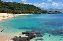 1/2 Circle Island & North Shore Fun with The Surf Bus 