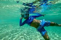 Oahu North Shore Fun: Waimea Waterfall & Turtle Snorkeling